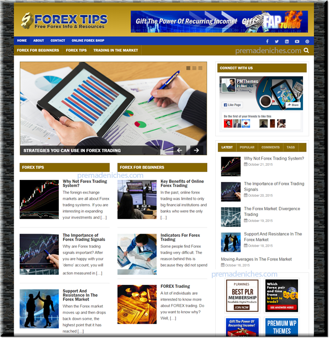 Forex Niche Plr Blog Package - 